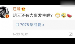 娱乐圈吃瓜网站是什么,揭秘明星幕后故事与八卦传闻